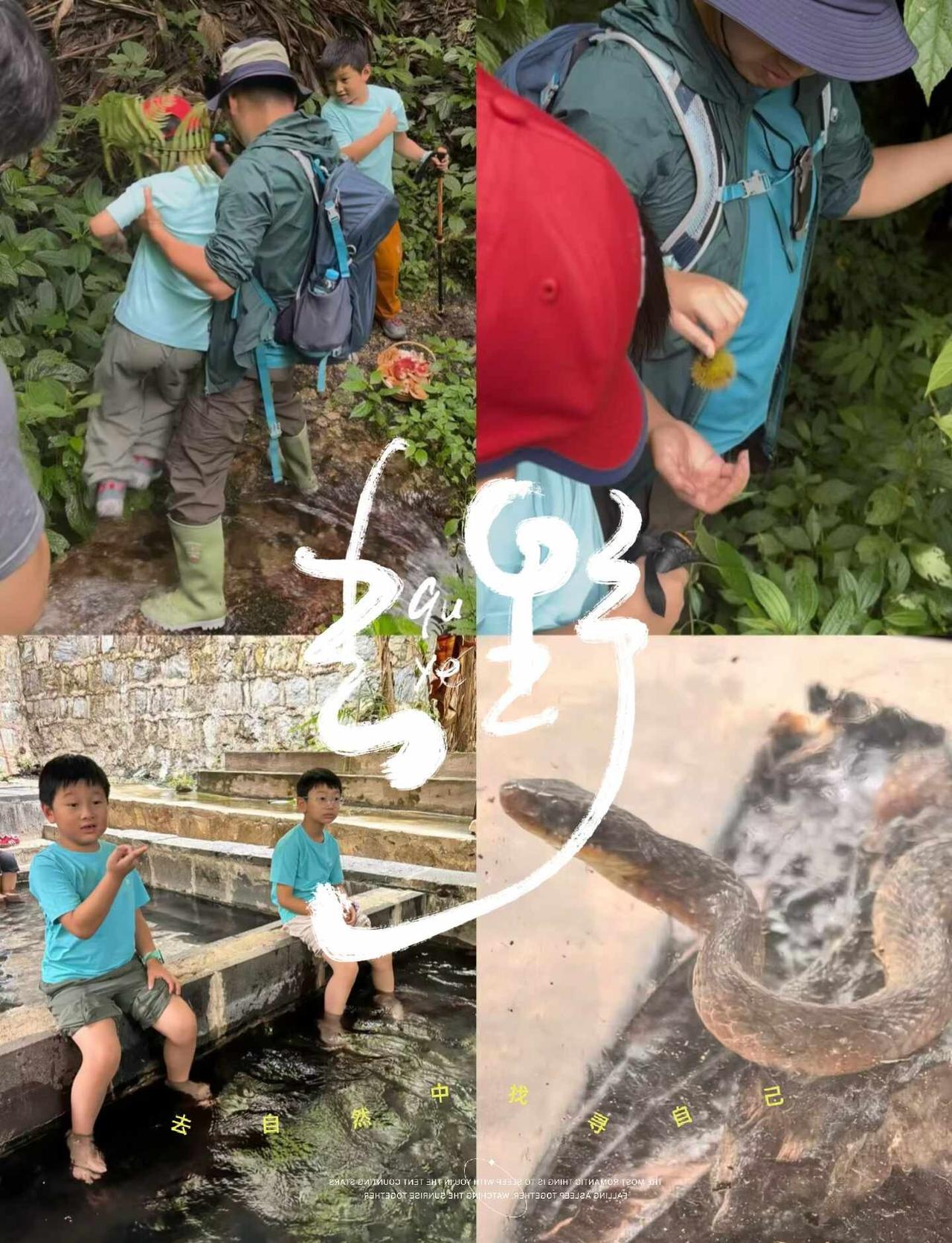 高黎贡亲子徒步｜童年就该走进山野
雨季进山需要勇气，带孩子走进真实的山野，真的比