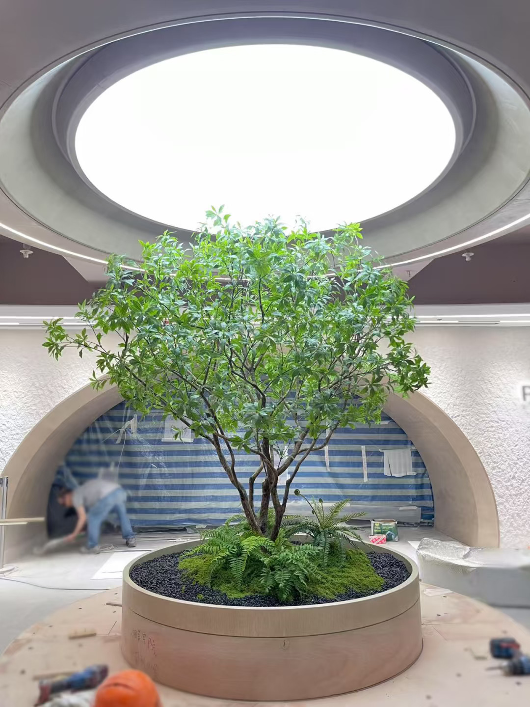 仿真马醉树，售楼部