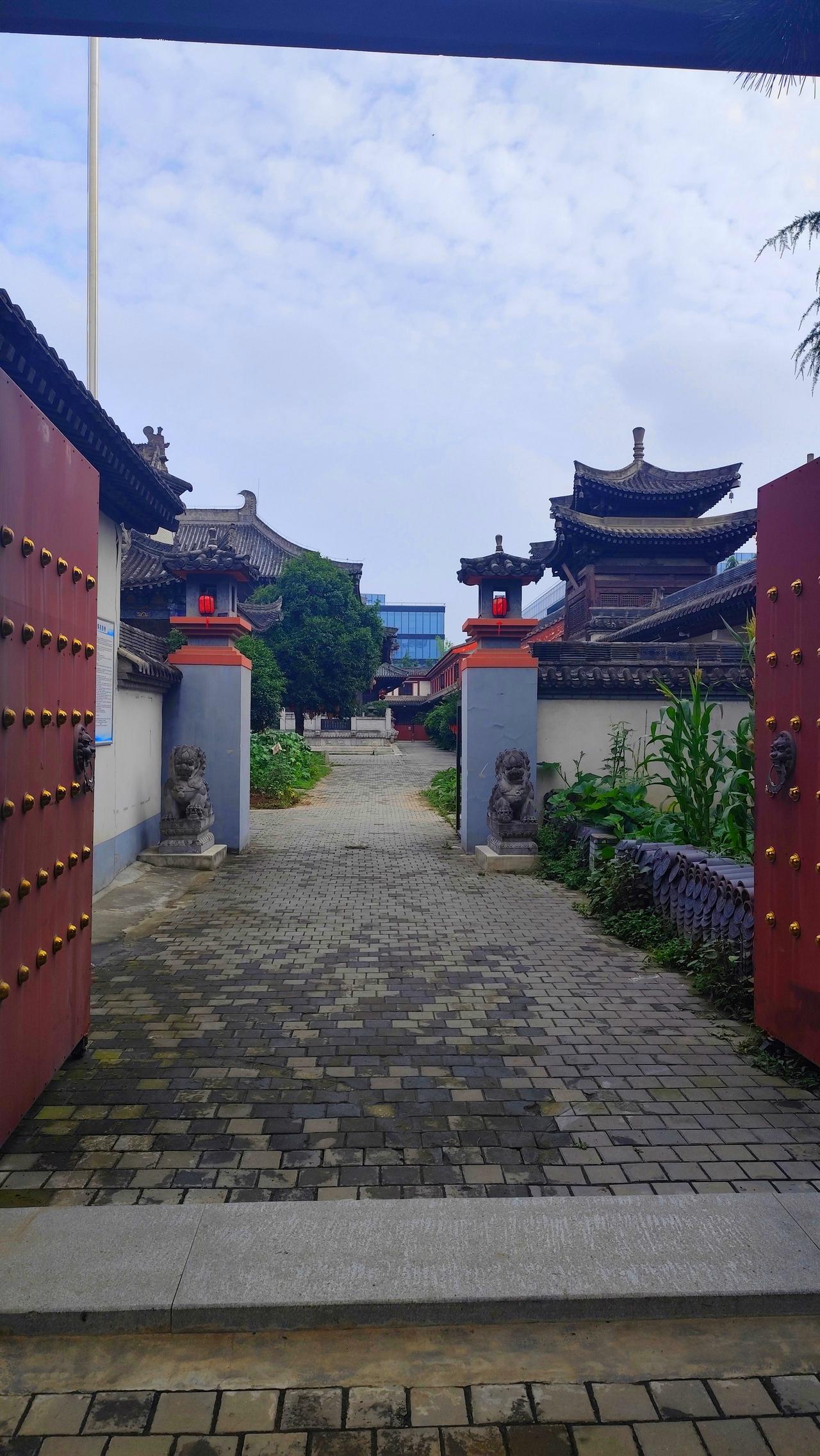 在西安高新区的高楼丛林中，藏着一座不起眼的寺院。推门进去一看，才知道来头这么大—