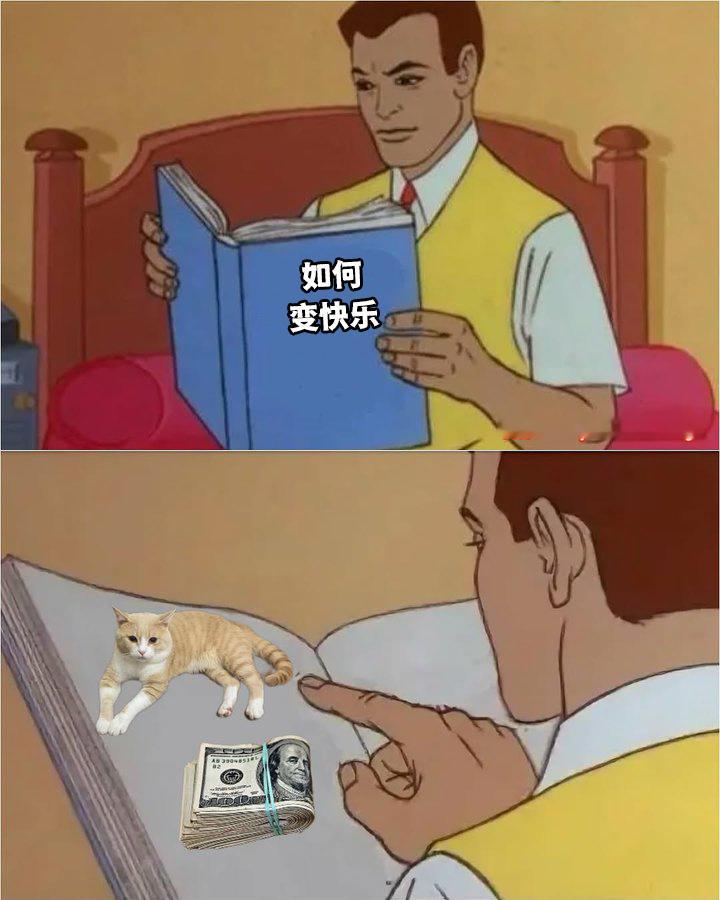 完全正确✔ 
