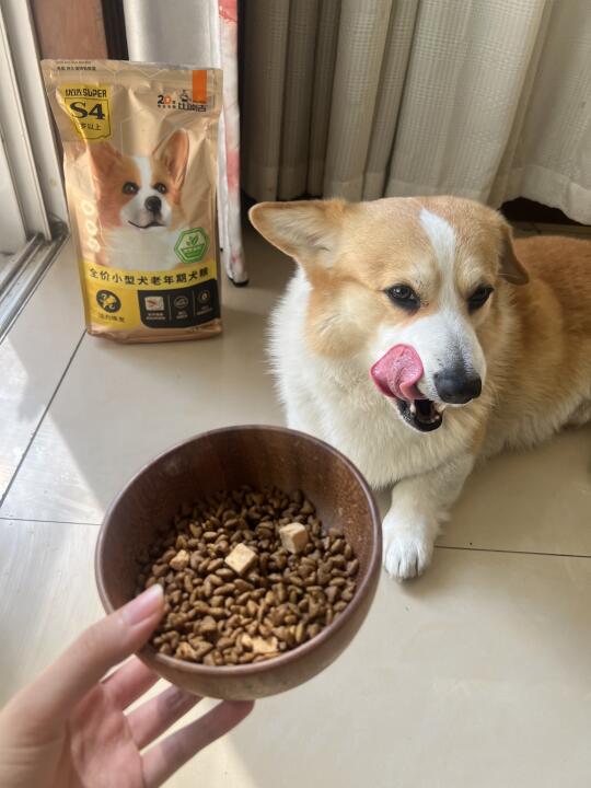 米叔进入初老期，又挖到一款好狗粮