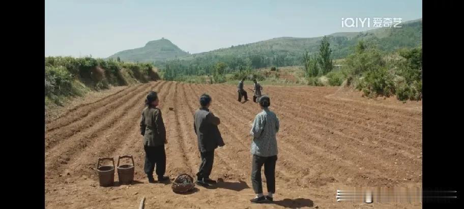 看《生万物》时，不少人跟我一样，对着封二一家又爱又气——这家人是真好，可也实在太