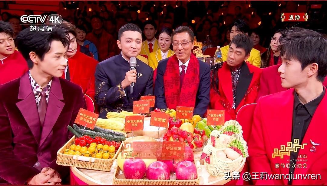 来呀，去晒秋！2026年春节联欢晚会直播中。希望满满！收获满满！
2026春节档