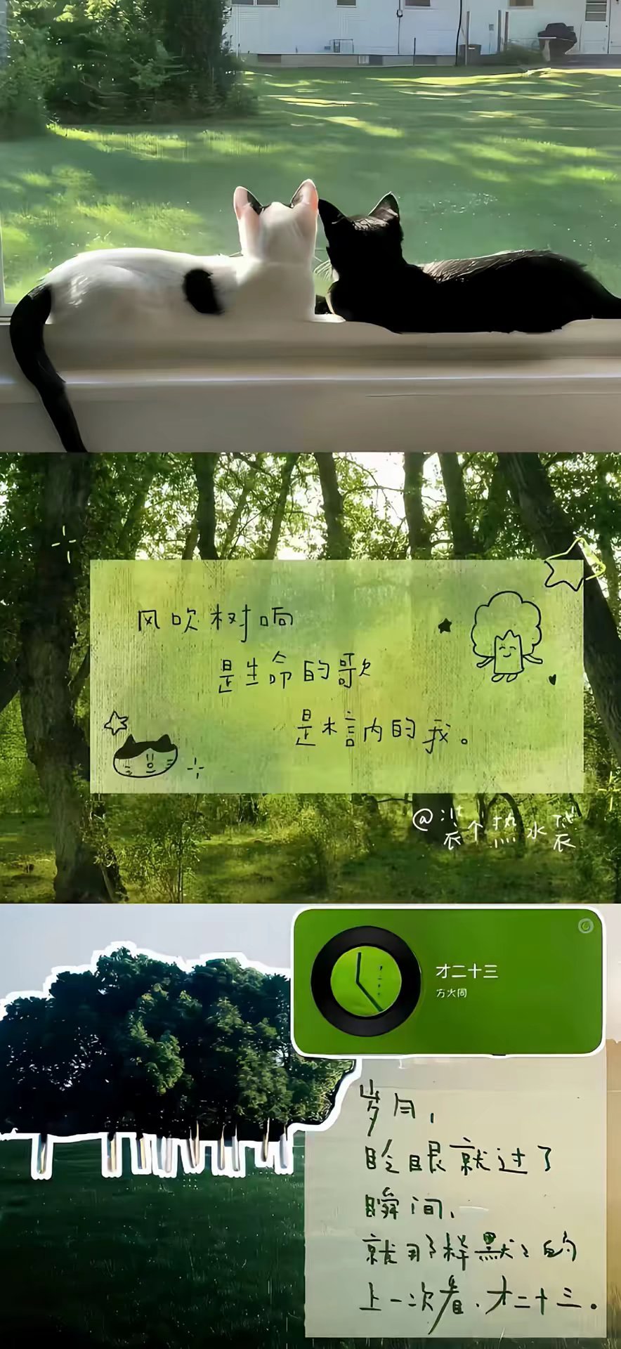 绿色系 壁纸 背景图 ​​​