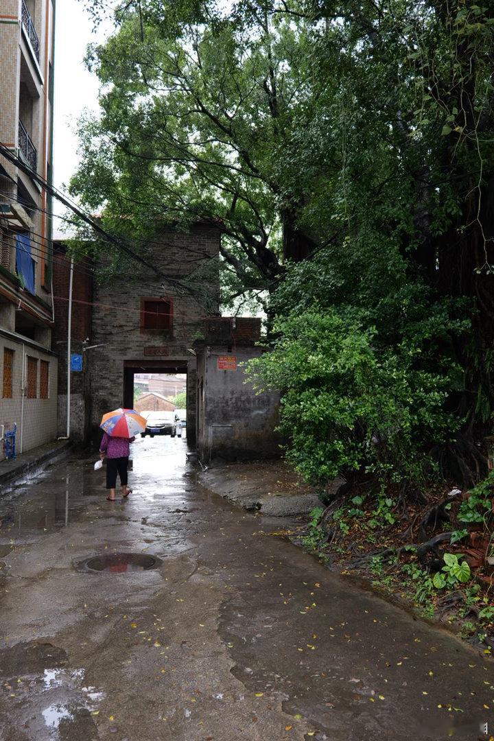 广州增城土江村遇见土江桥文化遗产我的日常plog建筑设计乡村摄影乡村摄影 松下S