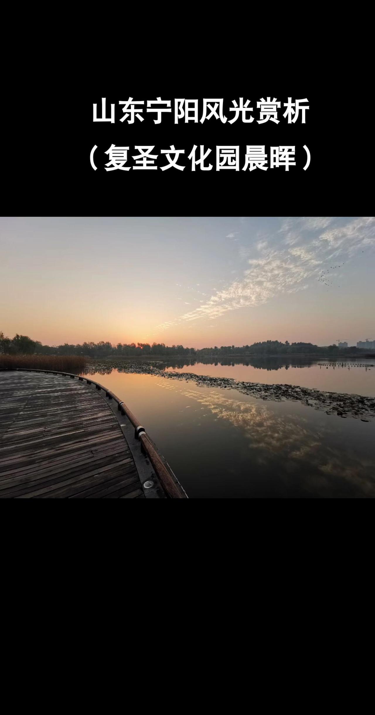 山东宁阳风光赏析（复圣文化园）#山东#宁阳#中国#风景#故乡