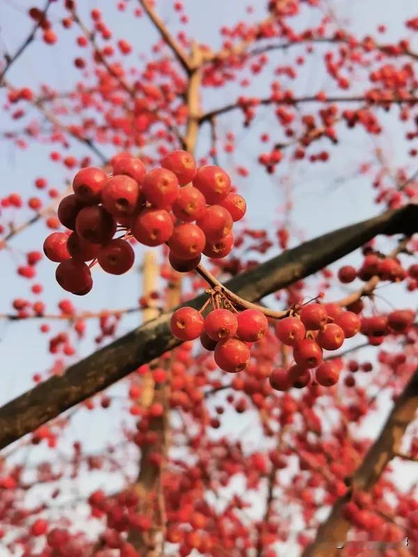 浦发银行近期罚单不断，着实令人咋舌。12月19日，因其理财、代销等业务管理欠审慎