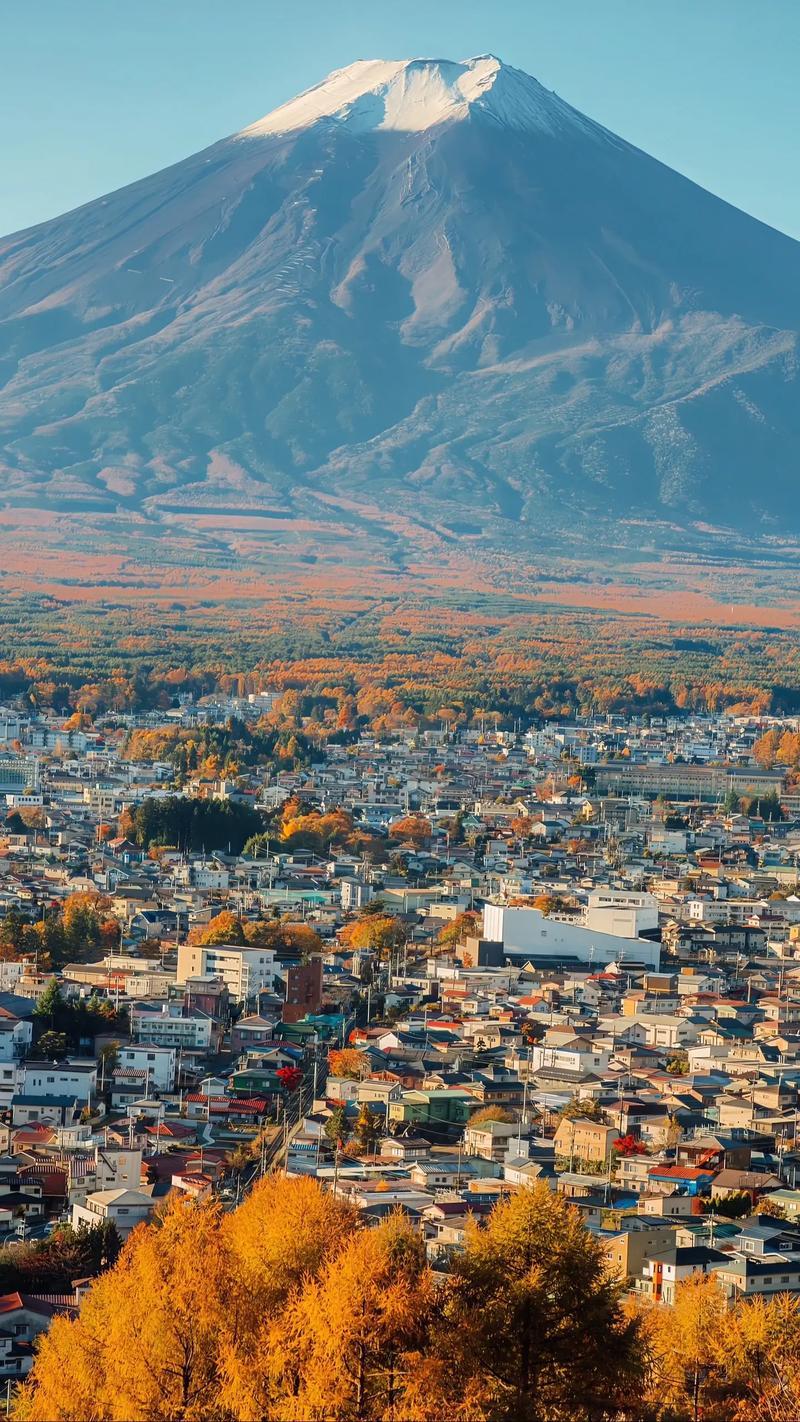日本右翼分子已经发展猖獗到持刀侵闯中国驻日使领馆了，中国今年为什么每月还有约40