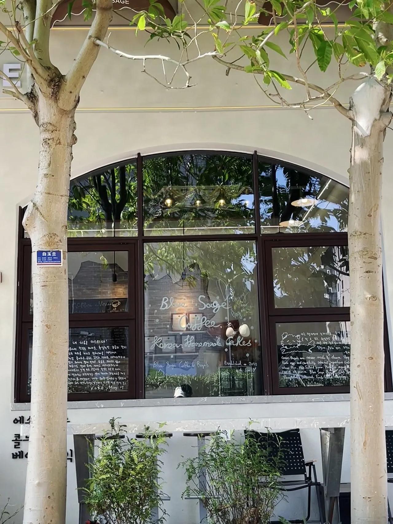午后☀️下午茶时光☕️ 午后微风徐徐🌿来罗湖喝一杯韩国咖啡☕️小众咖啡店打卡 