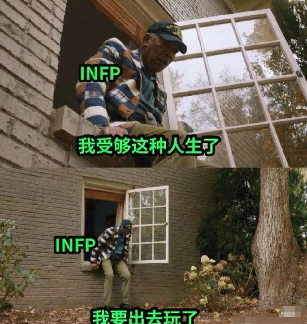 infp梗图 每一张都很真实