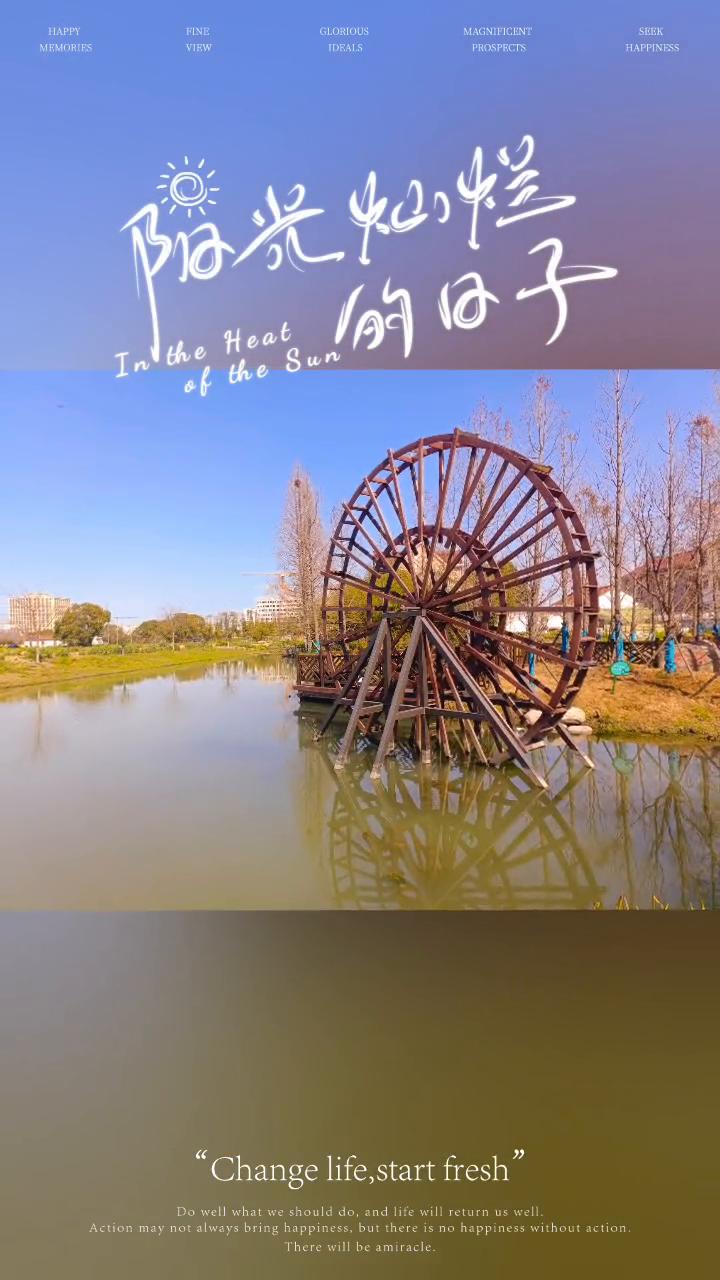 阳光灿烂的日子。
