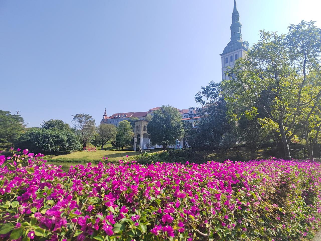 今天来到东莞这边的公园逛了一下，发现公园还是要看深圳吧，对比太明显了。