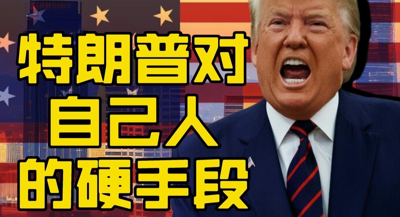 特朗普的手段哔哩哔哩动画  ​​​