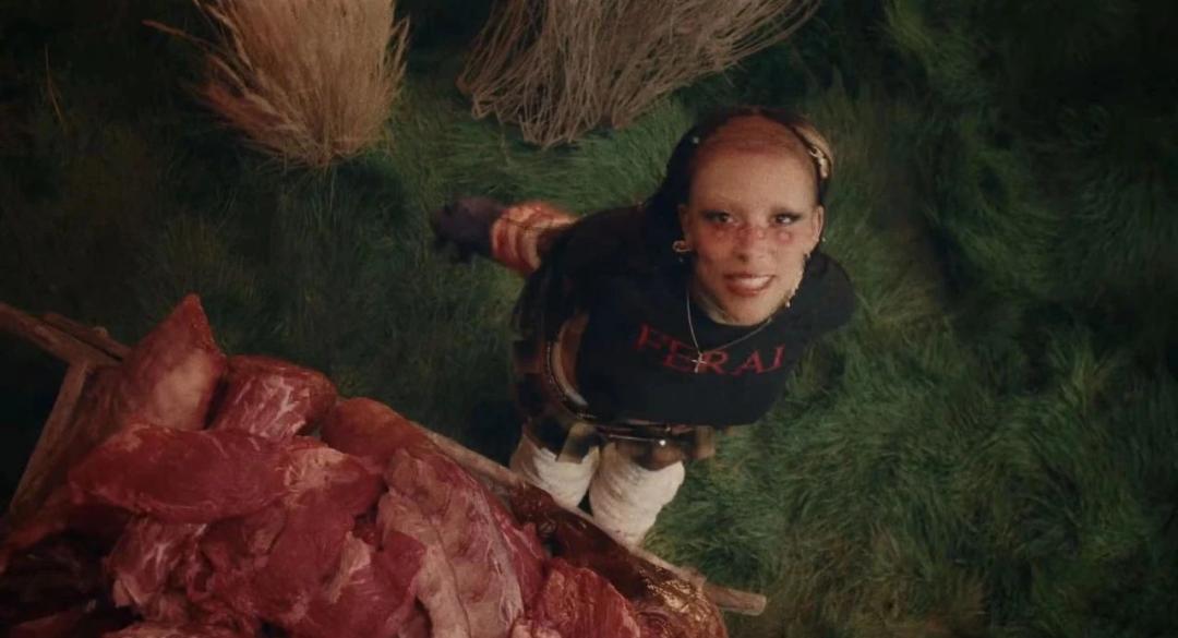 Doja Cat（朵佳·卡特）剃光头去菜市场卖菜，成为新一代恨粉天后。