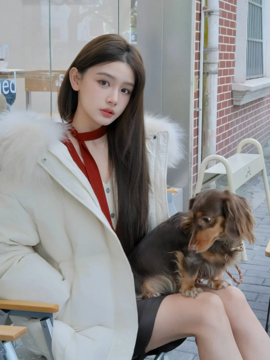 和小狗一起过冬