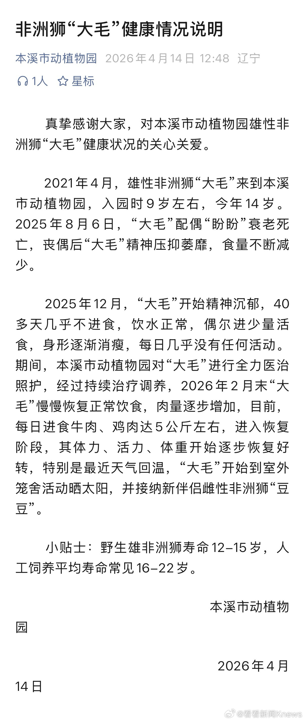 【#动物园回应非洲狮丧偶后不进食#：目前开始逐步恢复好转】4月14日，本溪市动植