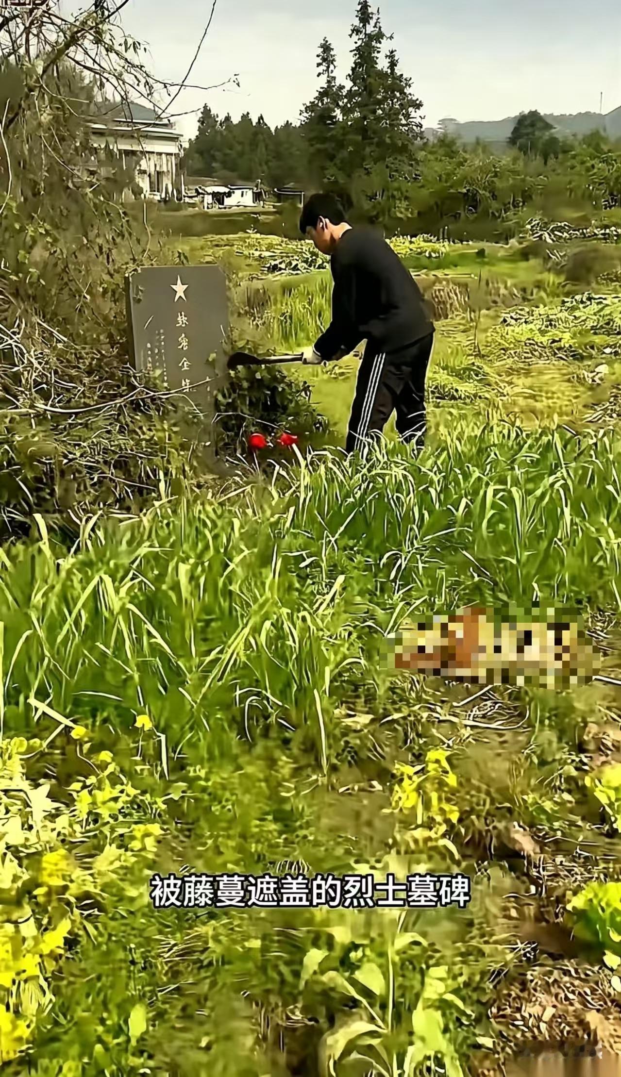 江西九江，清明节，15岁男孩跟着母亲上山扫墓，拜完自家祖先后，他突然转身往山路深