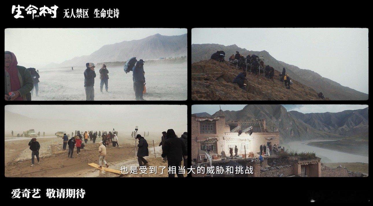 因为生命树重新认识青海电视剧生命树 以前只知道青海风景壮美，看了《生命树》才知道