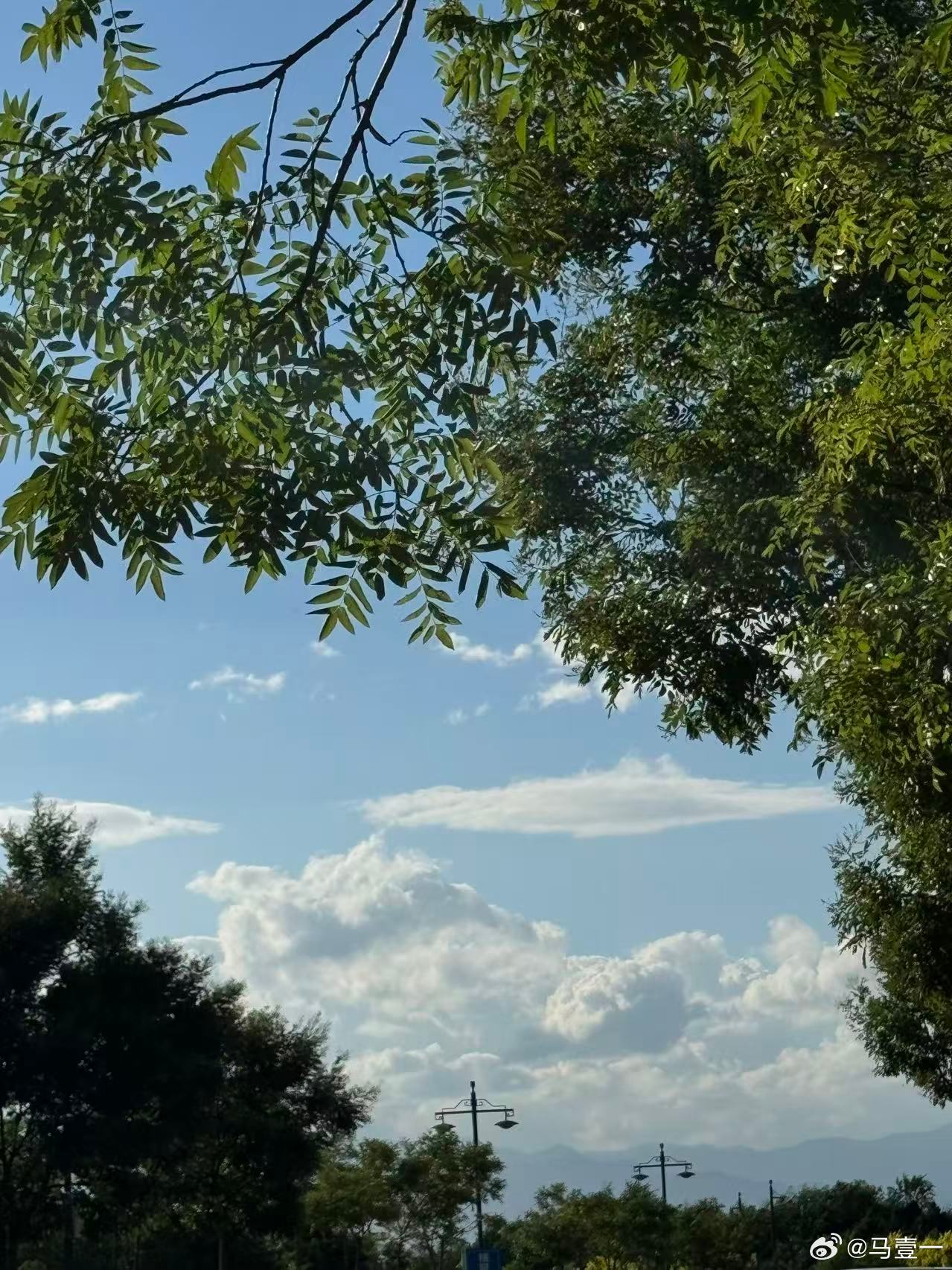 七月终，八月启一半是曾经，一半是重启且听风吟，且盼丰收愿八月风和日丽，喜乐从容随