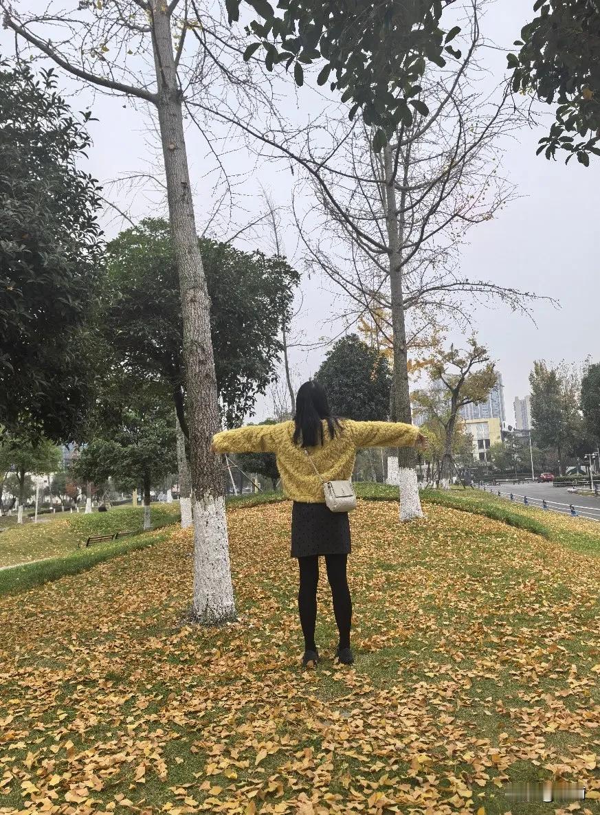 风掠过肩头时，我正裹紧那件厚重的黑衫。
梧桐叶簌簌往下落，金红的碎影叠在衣料上，