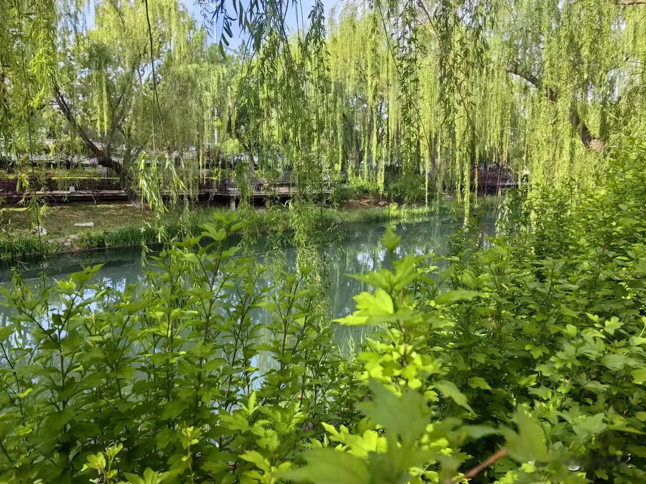 地产这大招，我有点动心了，想贷款买个房子出租，特意咨询了一个在银行工作的朋友，他
