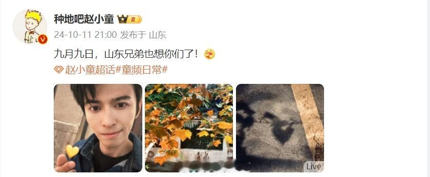 #赵小童九月九日山东兄弟也想你们了##赵小童晒梧桐树# 赵小童在这个重阳日，用梧