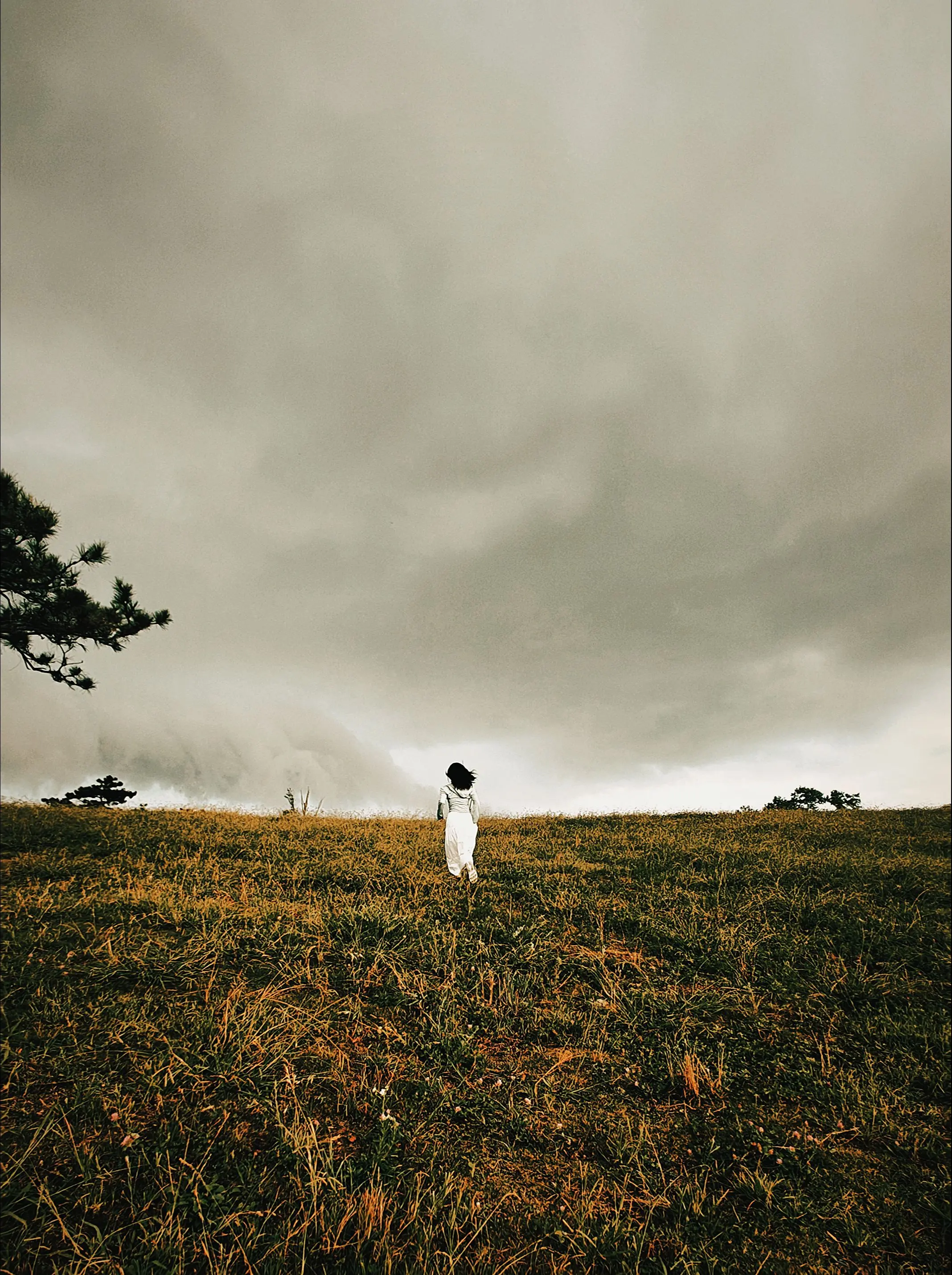 幻想着自由的生活 如夏花般绚烂的诱惑