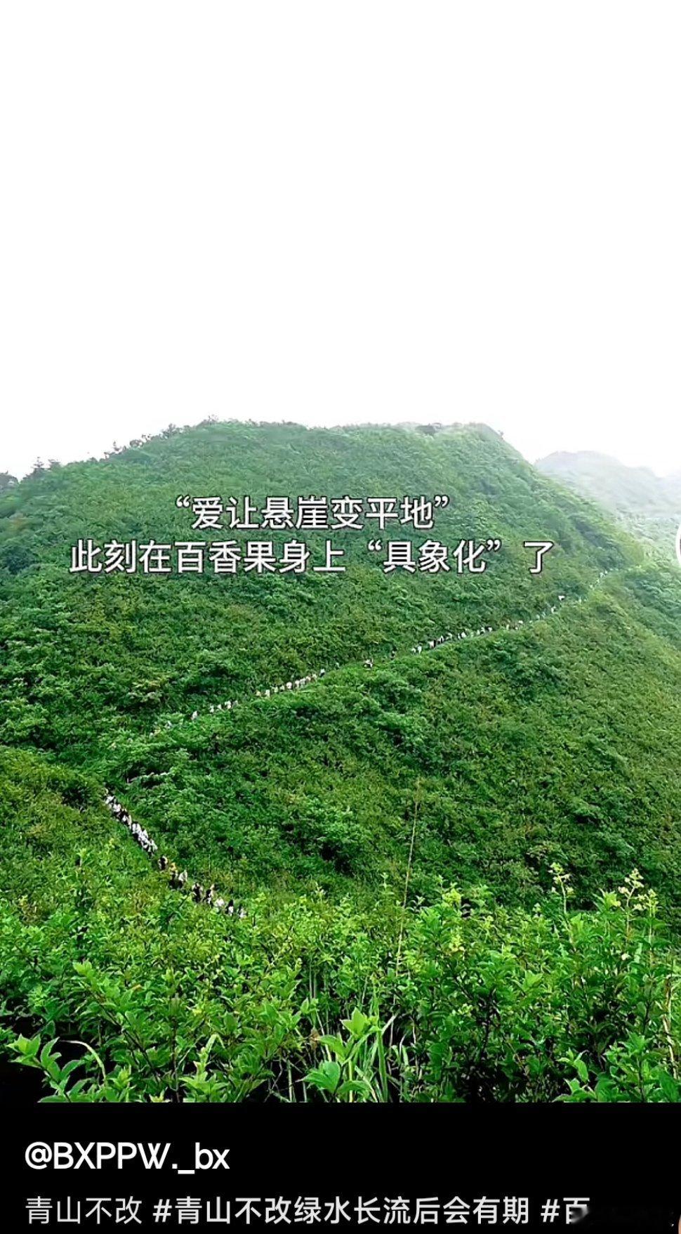 “爱让悬崖变平地” “爱让荒山里走出一条路”有爱了不起[泪]  