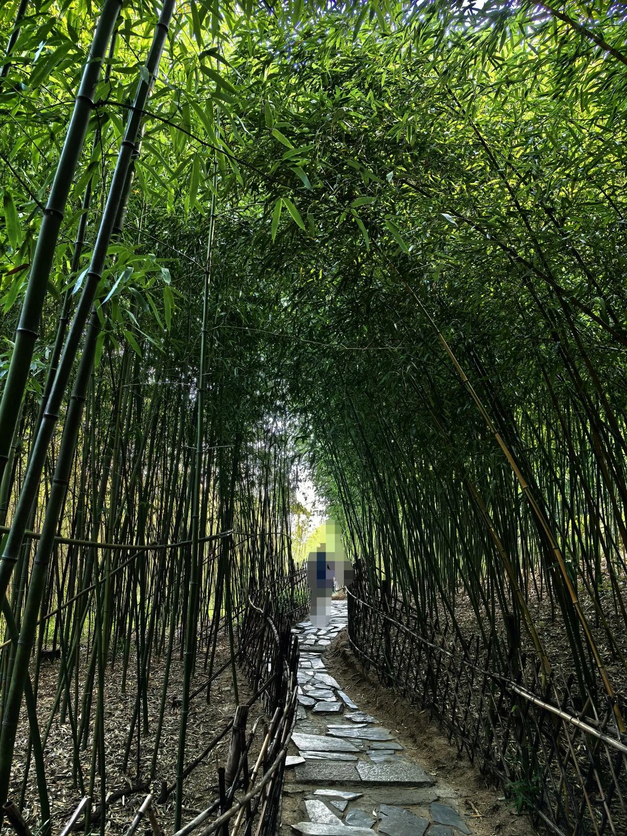 今天带孩子去了竹子庵公园游玩，因为公园停车位紧张，停不下车，把车停在了世园南路路