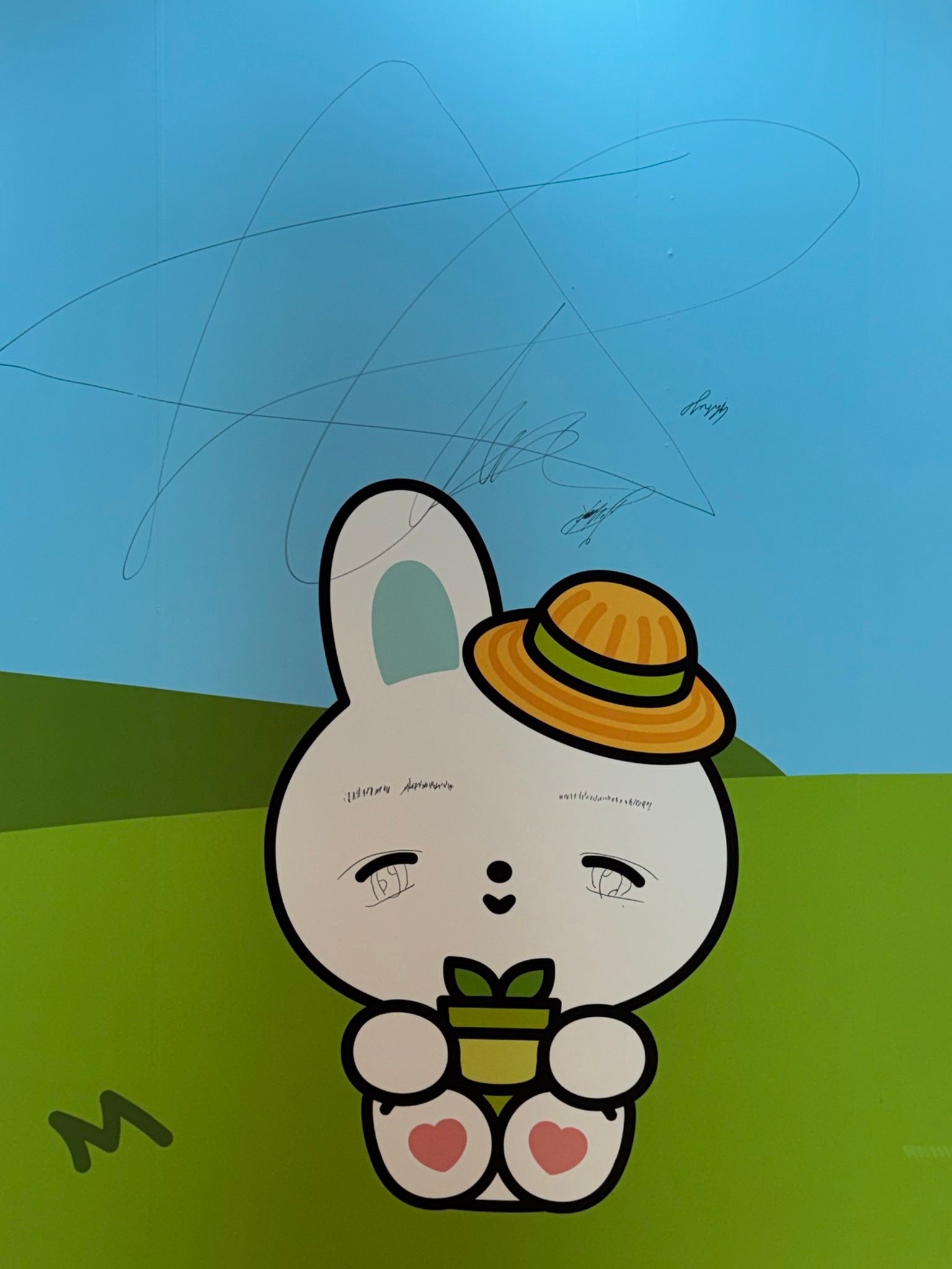维辰在快闪店一游留下的毛绒波布和大眼波布画像ㅋㅋ ​​​