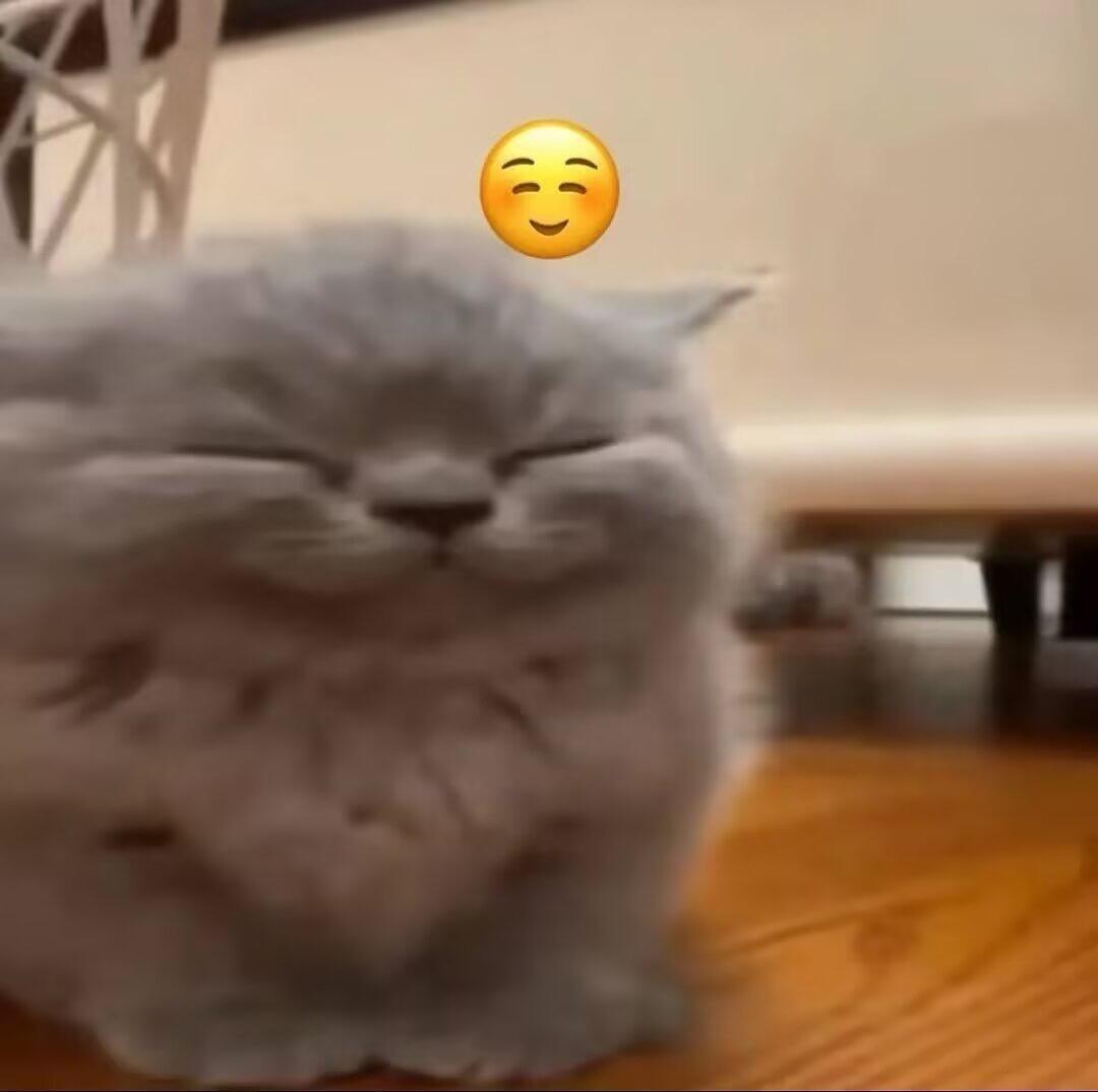 睡了，寒假见 ​​​