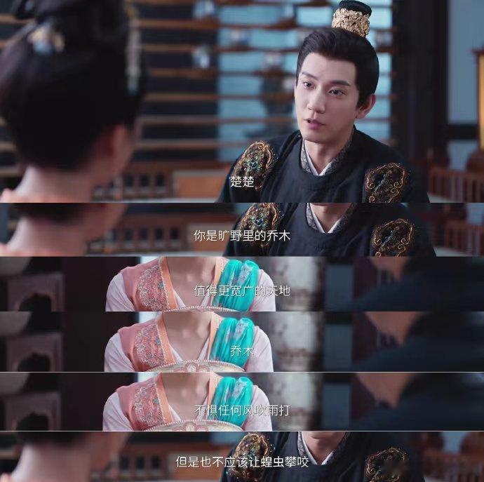 我选择王子奇萧瑾瑜做心理委员 绝了！王子奇让萧瑾瑜鲜活又真实，安全感发言超有底气