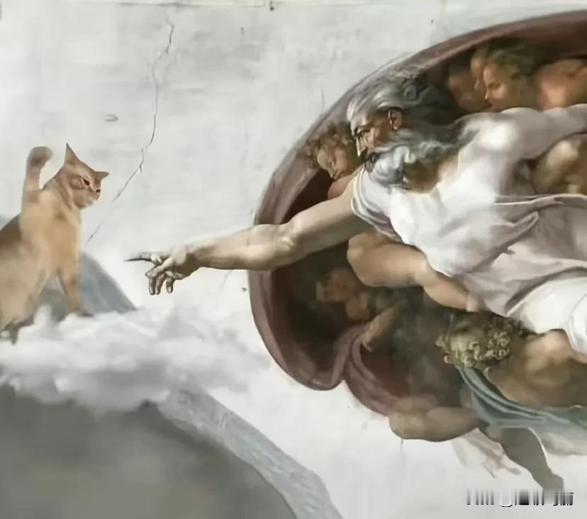 这就是🐱上不了天堂的原因