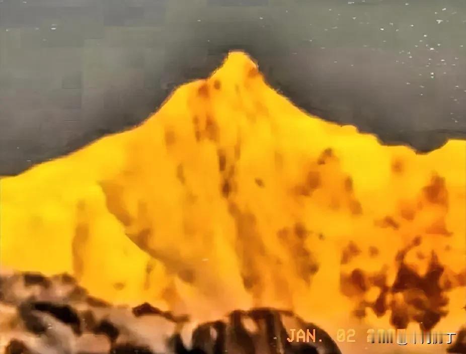 吉星高照福运来。