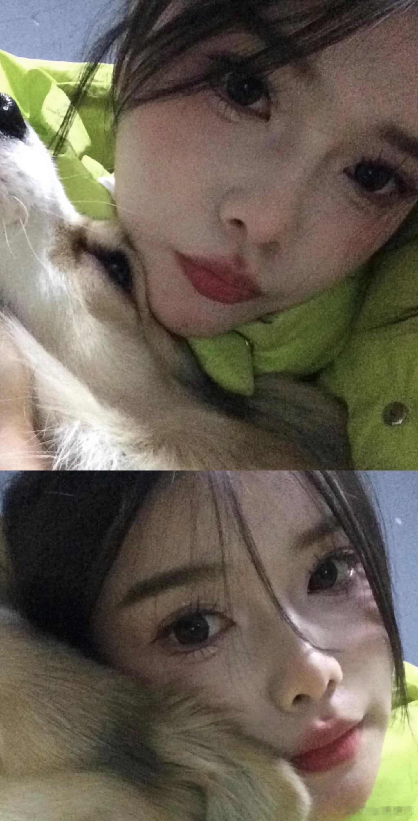 我爱我的小狗 也希望我的小狗只爱我 ​​​
