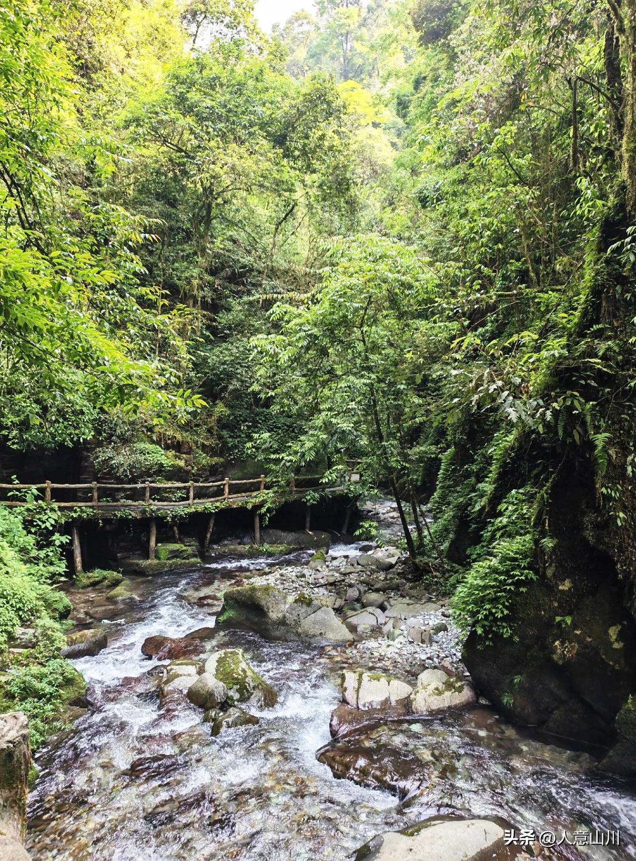 去了都说好的沉浸式洗肺宝藏，离贵州梵净山不远，空气甜美超出想象
梵净山，地球独子