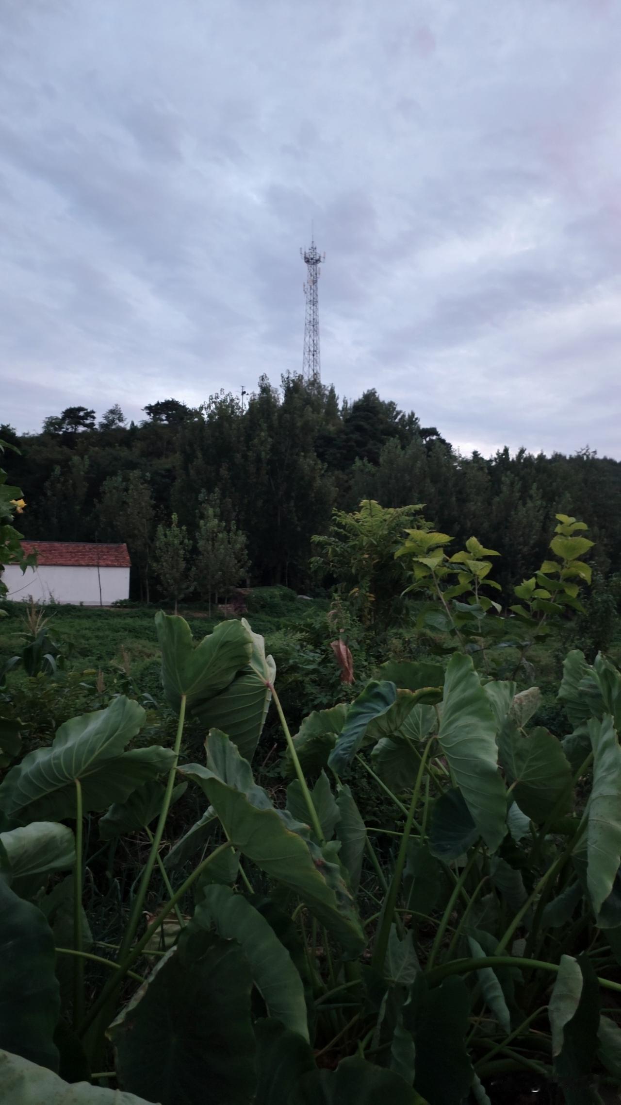 一个弟妹提起父母很生气，说不想管他们，但不管又不行……

上次回村，跟乡邻聊天，