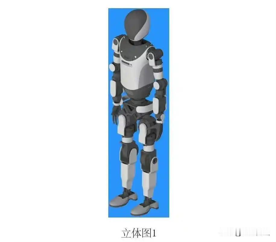 比亚迪的野心，看来不止于造车。

10月12日，比亚迪申请的“具身智能机器人”外