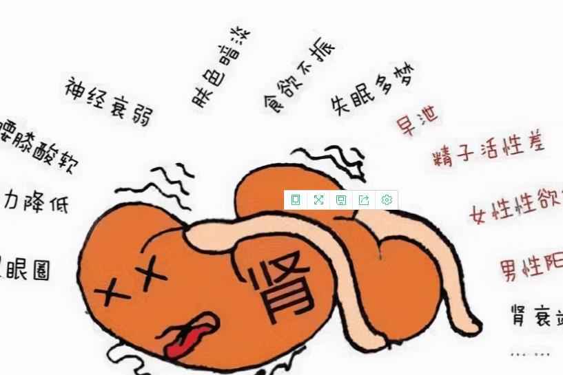 一味药，引精血涌入腰腿间！酸软冷痛全可调，腰腿越养越强健
作品声明：个人观点、仅