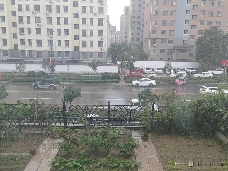 今天又下雨了，地里的花生没法拔了，老爸干脆来医院看着老妈输液、理疗。我寻思着，我
