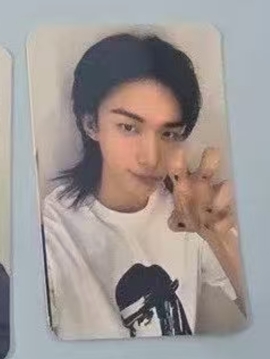 是一只黑色肉垫的小猫