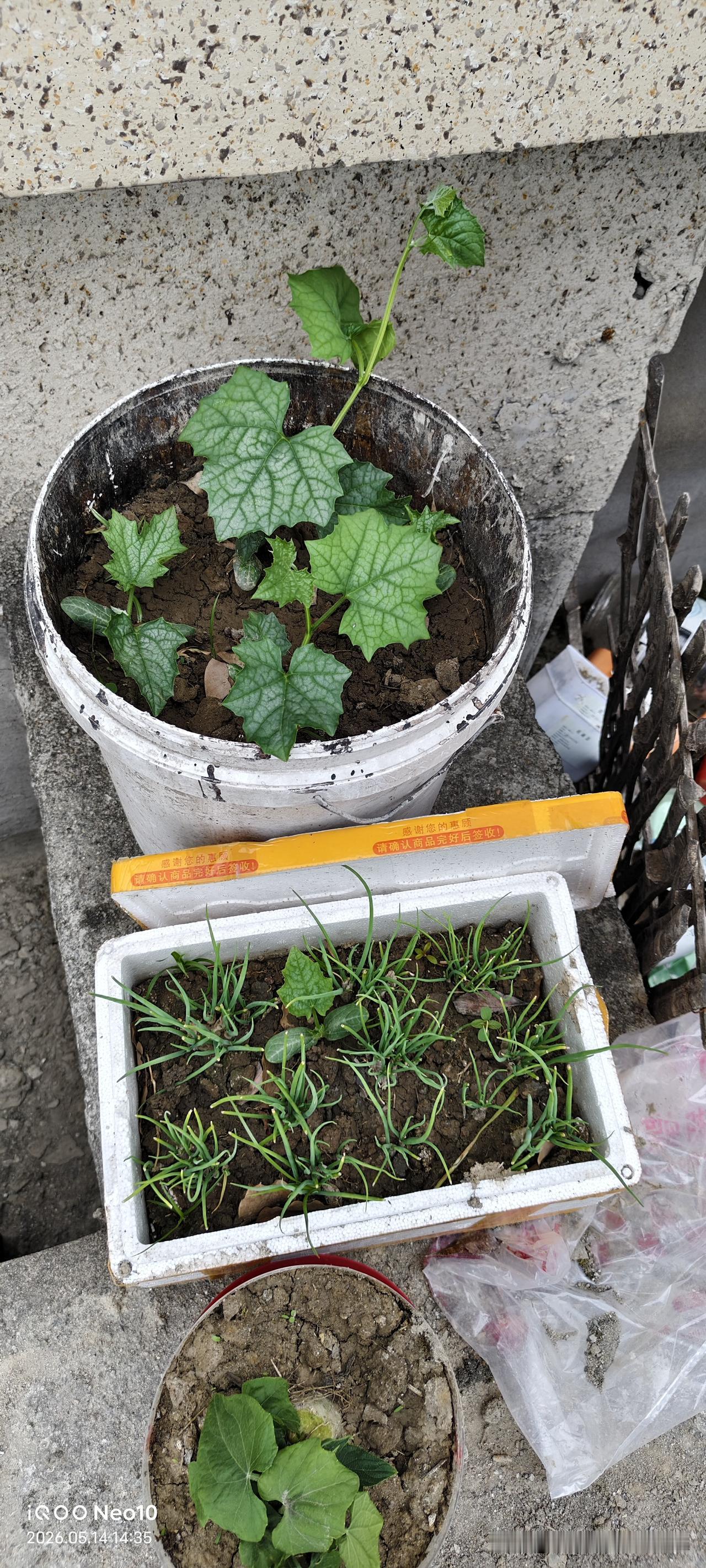 楼上要加一个护工，一个护工说要这样就不干辞职回家了，护士长也没有办法决定把一个病