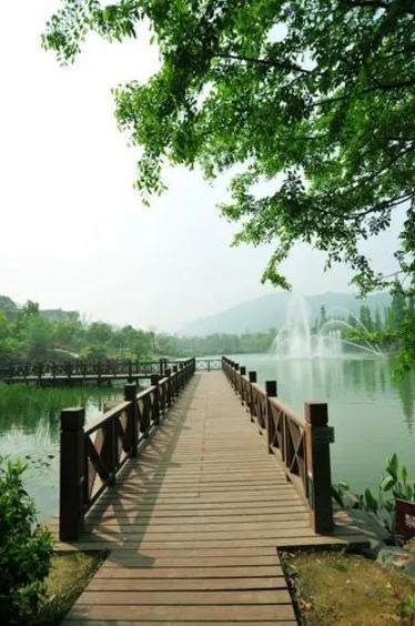 曾国藩说：“牢骚太甚者，其后必多抑塞。”过度的抱怨只会让我们陷入消极的情绪中，无