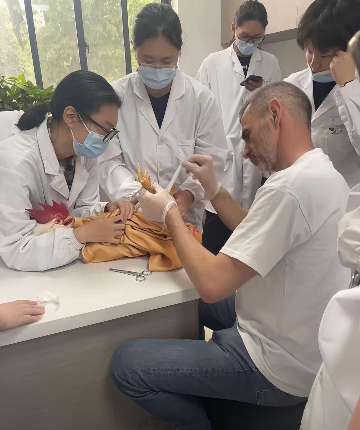 最适合当父母的人都在宠物医院了 ​​​