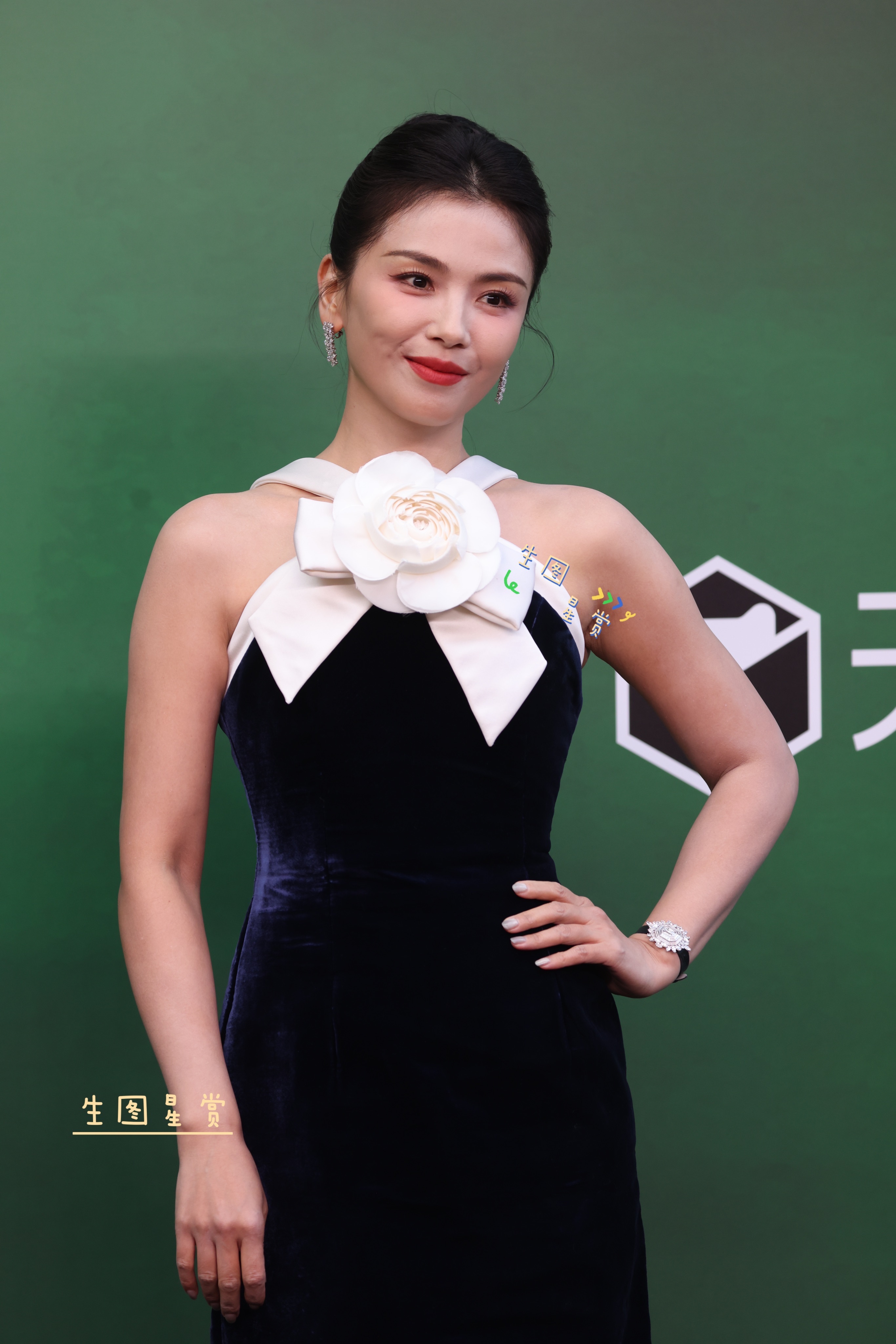 刘涛× vogue盛典复古风的涛姐，优雅贵气✨女明星vogue盛典造型出图刘涛[