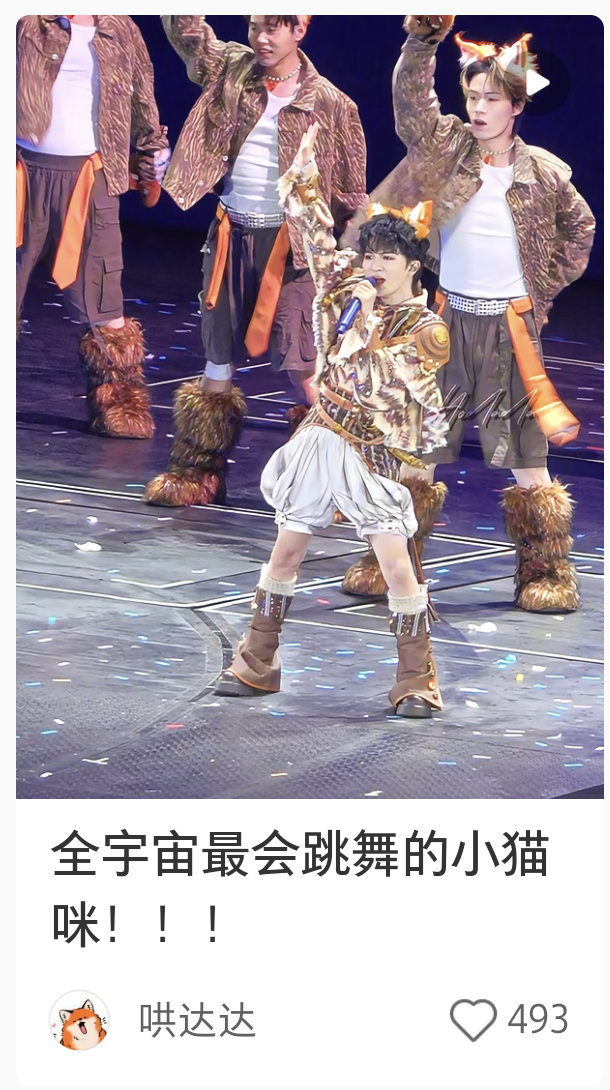 好小[舔屏]看封面以为是p的全宇宙最会跳舞的小猫咪！！！ 太可爱了吧！！！ 奇迹