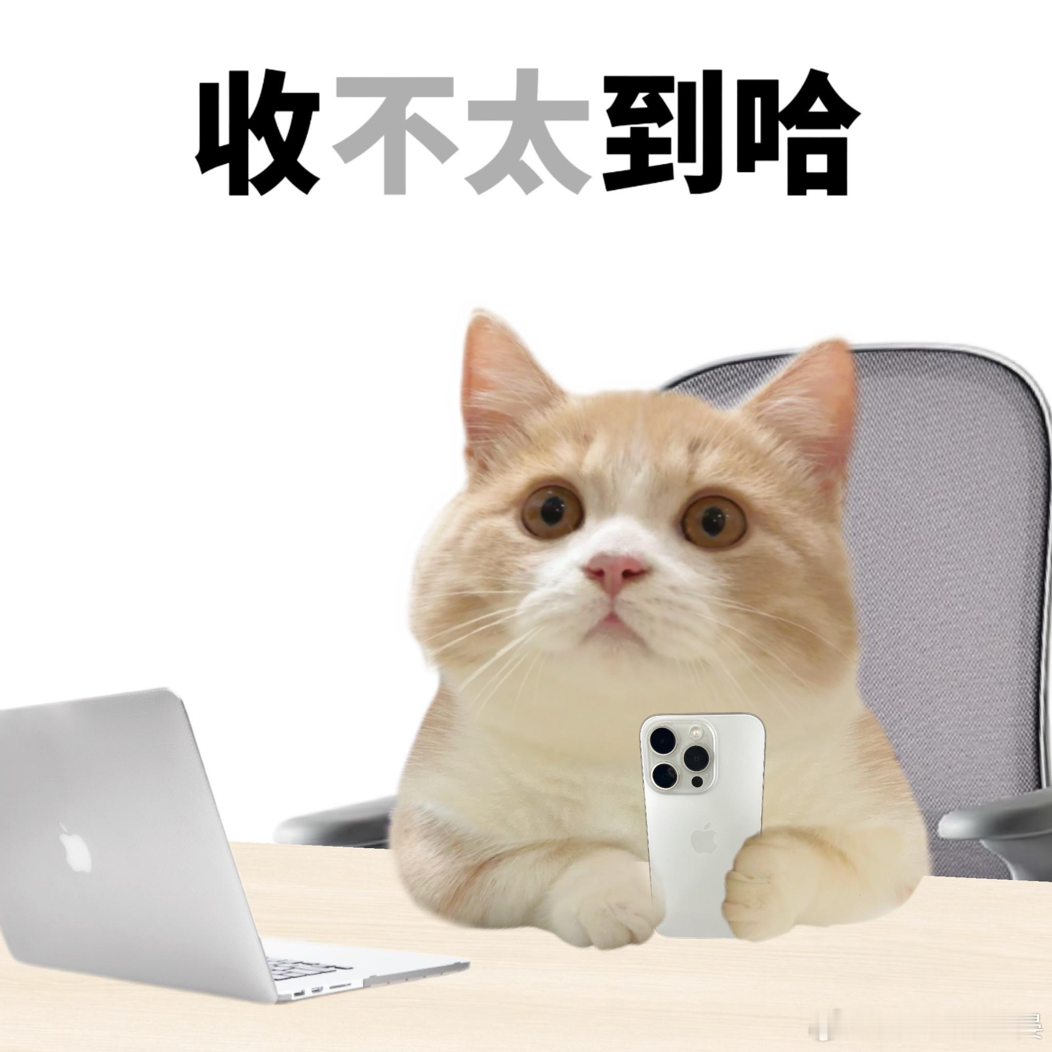 反骨打工人的话里有话表情包[求关注] ​​​