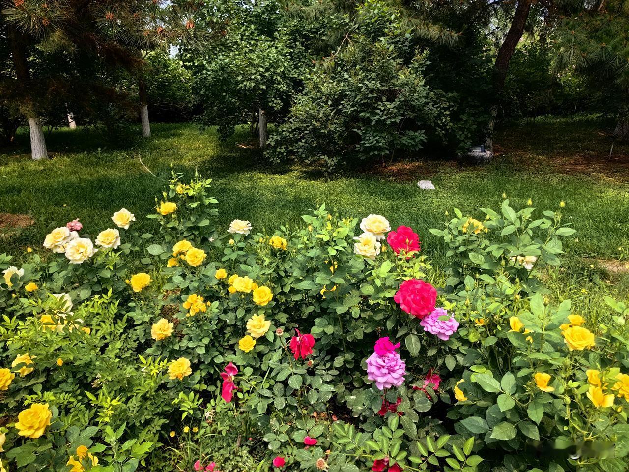 老年生活感悟：人生这趟旅程，每人手握一张单程车票，谁都没有回程路。所以，珍惜当下