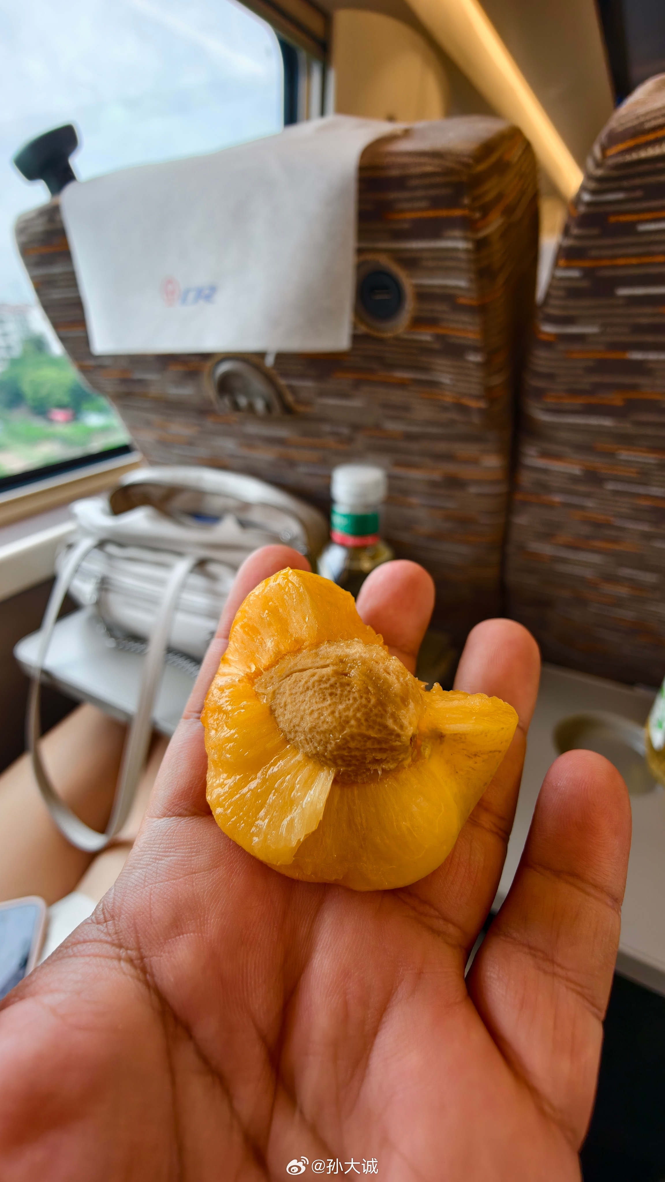 坐高铁去北京邻座的是个大长腿女孩落座后从包里面掏出来一个桃🍑看着金黄的色泽应该