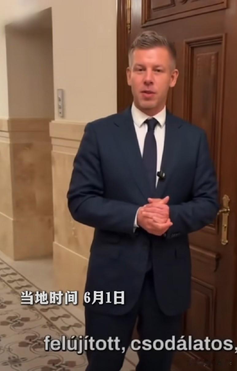 匈牙利总理毛焦尔霸气十足，势必要将欧尔班的“傀儡”和盟友一网打尽，包括总统舒尤克